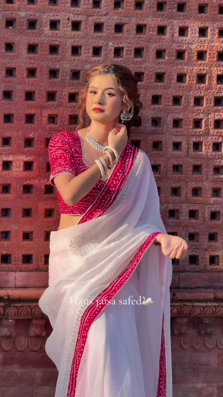 Chiffon Saree with Stone Work – Elegant Evening Drape