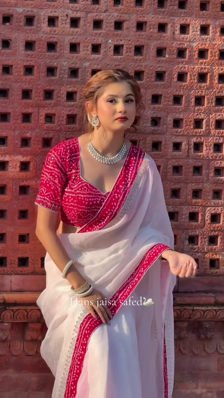 Chiffon Saree with Stone Work – Elegant Evening Drape - Image 2